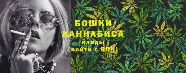 молекула духа Кулебаки