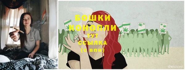 стаф Кукмор