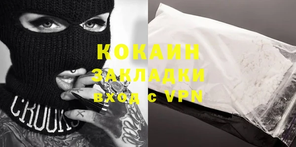 молекула духа Кулебаки