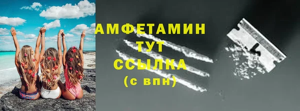 молекула духа Кулебаки