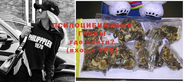 стаф Кукмор