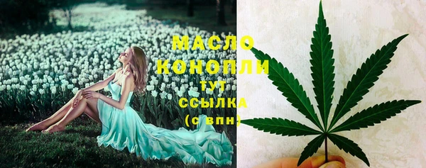 молекула духа Кулебаки